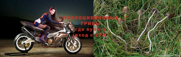 марки lsd Зеленодольск